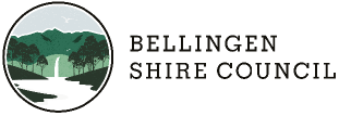 logo bsc.PNG